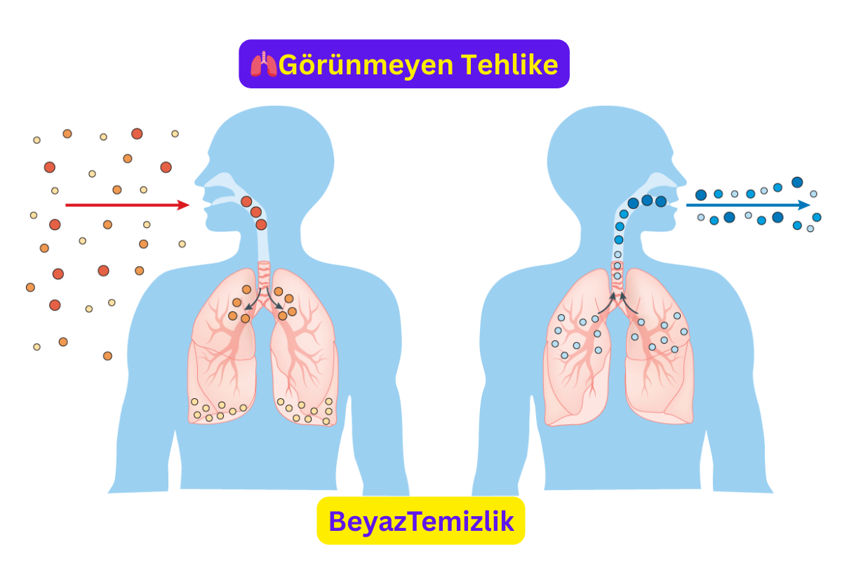 🫁Görünmeyen Tehlike: Her Nefeste Daha Fazlası İçimize Doluyor